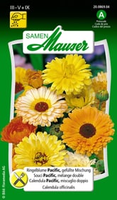 Samen Mauser Souci Pacific mélange double Semences de fleurs Souci Pacific mélange double Semences de fleurs Samen Mauser 650101902000 Contenu 1 g (env. 50 plantes ou 3 - 4 m²) Photo no. 1