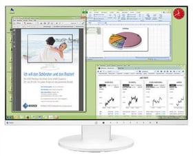 FlexScan EV2455W 24" Monitor