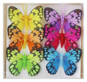 Papillons Accessoires décoratifs Geroma 657795000000 Photo no. 1