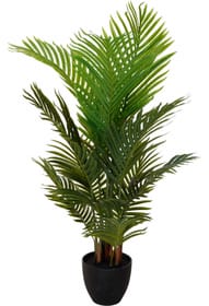 Palm Plante artificielle Do it + Garden 657612000000 Photo no. 1