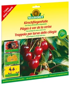 KirschfliegenFalle, 5 Fallen