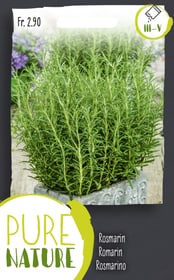 Do it + Garden Rosmarinus officinalis Rosmarin 0.5g Kräutersamen Rosmarinus officinalis Rosmarin 0.5g Kräutersamen Do it + Garden 287121500000 Bild Nr. 1