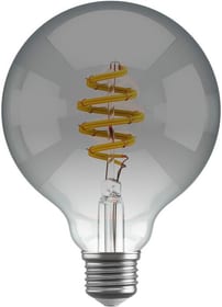 Filament Bulb CCT E27 G95 - smokey Lampadine Hombli 785300169084 N. figura 1