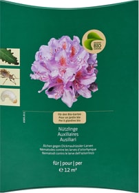 Migros Bio Garden Organismi utili Anguillule/nematodi per combattere le larve di oziorinco Organismi utili Organismi utili Anguillule/nematodi per combattere le larve di oziorinco Organismi utili Migros Bio Garden 658501100000 N. figura 1