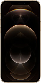 Apple iPhone 12 Pro 128GB Gold Smartphone iPhone 12 Pro 128GB Gold Smartphone Apple 794662500000 Photo no. 1