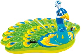 Peacock Island