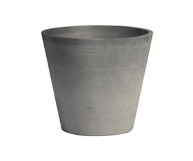 Ecopot Amsterdam Pot à fleurs sur roues Ecopot Amsterdam Pot à fleurs sur roues 657055200000 Couleur Gris Taille ø: 60.0 cm x H: 56.0 cm Photo no. 1