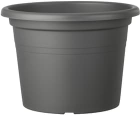 Deroma Day R Vaso Day R Vaso Deroma 657669000000 Colore Antracite Taglio ø: 50.0 cm x A: 34.9 cm N. figura 1