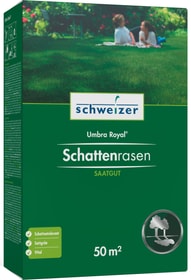 Eric Schweizer Gazon d’ombre - Umbra Royal, 50 m² Gazon d’ombre - Umbra Royal, 50 m² Eric Schweizer 659290300000 Photo no. 1