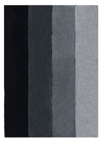 spirella Tapis de bain Four Tapis de bain Four spirella 675028000000 Couleur Noir-Gris Taille 60x90cm Photo no. 1