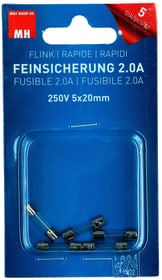 Max Hauri Fusible Rapide 2A 5 Stk. Fusible Fusible Rapide 2A 5 Stk. Fusible Max Hauri 612526800000 Photo no. 1
