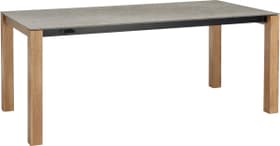 MEDICI Table MEDICI Table 402385515003 Couleur KEON Dimensions L: 190.0 cm x P: 90.0 cm x H: 75.0 cm Photo no. 1