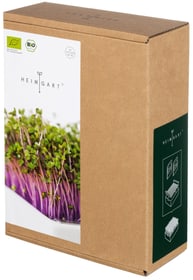 Heimgart Starter Kit Sprossen und Keimlinge Starter Kit Sprossen und Keimlinge Heimgart 631455900000 Bild Nr. 1