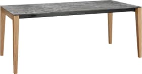 MEDICI Table MEDICI Table 402385415005 Couleur Orix Dimensions L: 190.0 cm x P: 90.0 cm x H: 75.0 cm Photo no. 1