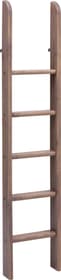 Flexa CLASSIC Scaletta diritta letto rialzato CLASSIC Scaletta diritta letto rialzato Flexa 404919600000 Dimensioni L: 41.0 cm x P: 11.0 cm x A: 185.0 cm Colore Terra N. figura 1