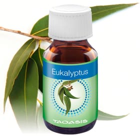 Duftöl Eukalyptus 3x 50 a ml