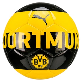 BVB Fanball