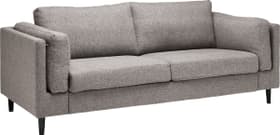 DIENER 2.5er-Sofa DIENER 2.5er-Sofa 405739000000 Grösse B: 208.0 cm x T: 92.0 cm x H: 82.0 cm Farbe Anthrazit Bild Nr. 1