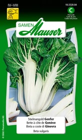 Stielmangold Genfer Gemüsesamen Samen Mauser 650115602000 Inhalt 5 g (ca. 60 Pflanzen oder 5 m²) Bild Nr. 1