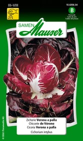 Samen Mauser Chicoree de Verone Semences de legumes Chicoree de Verone Semences de legumes Samen Mauser 650116406000 Contenu 5 g (env. 3-4 m² ) Photo no. 1