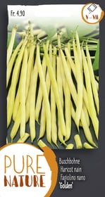 Do it + Garden Buschbohne 'Golden' 50g Gemüsesamen Buschbohne 'Golden' 50g Gemüsesamen Do it + Garden 287107600000 Bild Nr. 1