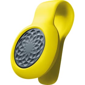 JAWBONE Up Move Schiefer Up Move Schiefer JAWBONE 79785830000015 Bild Nr. 1
