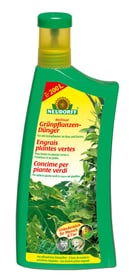 Grünpflanzendünger, 1 l