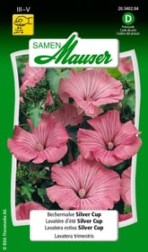 Samen Mauser Lavatera d'été Silver Cup Semences de fleurs Lavatera d'été Silver Cup Semences de fleurs Samen Mauser 650104802000 Contenu 1 g (env. 50 plantes ou 4-5 m Photo no. 1