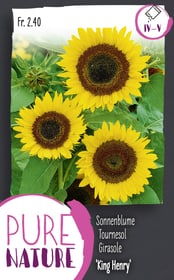 Do it + Garden Sonnenblume 'King Henry' 2.5g Blumensamen Sonnenblume 'King Henry' 2.5g Blumensamen Do it + Garden 287303200000 Bild Nr. 1