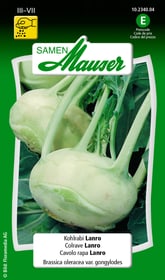 Samen Mauser Colrave Lanro Semences de legumes Colrave Lanro Semences de legumes Samen Mauser 650111403000 Contenu 1 g (env. 80 - 100 plantes ou 5 - 6 m²) Photo no. 1