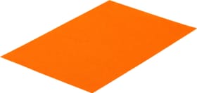 Art & Décor (Preba) Filzplatte 20 x 30cm Filzplatte 20 x 30cm Art & Décor (Preba) 665702500000 Farbe Orange Bild Nr. 1