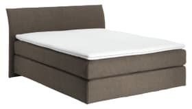NAVIER Boxspringbett NAVIER Boxspringbett 403482500000 Grösse B: 160.0 cm x T: 200.0 cm Farbe Schlamm Bild Nr. 1