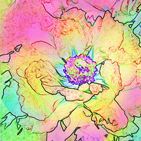 Feldner + Partner Avantgarde Tovaglioli Saison, 20 Stk. 33x33 cm, Flower Spirit Avantgarde Tovaglioli Saison, 20 Stk. 33x33 cm, Flower Spirit Feldner + Partner 665744700000 N. figura 1