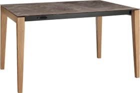 MEDICI Table MEDICI Table 402384815008 Couleur Iron Bronze Dimensions L: 150.0 cm x P: 90.0 cm x H: 75.0 cm Photo no. 1