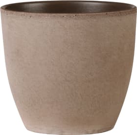 Scheurich Earth Pot Earth Pot Scheurich 657549000000 Couleur Marron Taille ø: 25.0 cm x H: 21.6 cm Photo no. 1