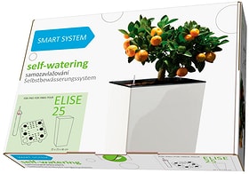 Smart System Elise