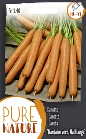 Do it + Garden Carotte 'Rouge Nantaise améliorée' mi-hâ Semences de legumes Carotte 'Rouge Nantaise améliorée' mi-hâ Semences de legumes Do it + Garden 287114100000 Photo no. 1
