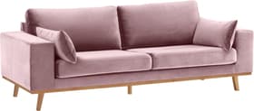 MORITZ II Canapé 2,5 places MORITZ II Canapé 2,5 places 405765925338 Dimensions L: 217.0 cm x P: 90.0 cm x H: 82.0 cm Couleur Rose Photo no. 1