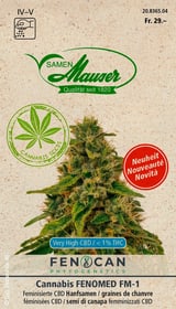 Cannabis Fenomed (FM 1) Semences d’herbes arom. Samen Mauser 650250800000 Photo no. 1