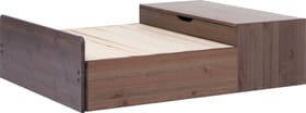 Flexa CLASSIC Lit-banquette avec tiroir à literie CLASSIC Lit-banquette avec tiroir à literie Flexa 404919900000 Dimensions L: 94.5 cm x P: 118.0 cm x H: 32.0 cm Couleur Terre Photo no. 1