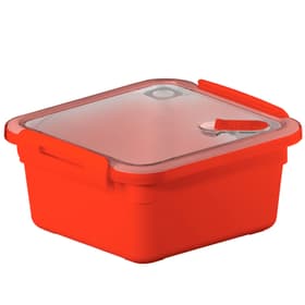 Rotho MEMORY Lattina a microonde da 1l con coperchio e valvola, Plastica (PP)  senza BPA, rosso Cucina - comprare da Do it + Garden