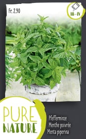 Do it + Garden Pfefferminze mehrjährig 0.25g Kräutersamen Pfefferminze mehrjährig 0.25g Kräutersamen Do it + Garden 287121400000 Bild Nr. 1