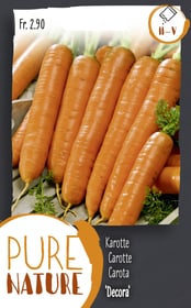 Do it + Garden Carota 'Decora' precoce 5g Sementi di verdura Carota 'Decora' precoce 5g Sementi di verdura Do it + Garden 287114000000 N. figura 1
