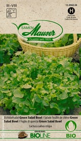 GREEN SALAD BOWL Semences de legumes Samen Mauser 650174300000 Photo no. 1