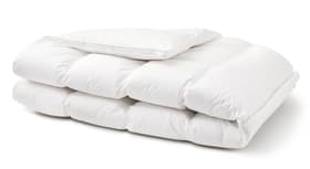 LUXURYDAUN warm Sehr warmes und luxuriöses Kassettenduvet mit 100% Gänsedaunen LUXURYDAUN warm Sehr warmes und luxuriöses Kassettenduvet mit 100% Gänsedaunen 451755012510 Farbe Weiss Grösse B: 200.0 cm x T: 210.0 cm Bild Nr. 1