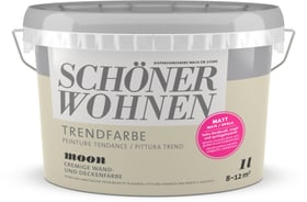 Schöner Wohnen Couleur tendance mate Moon 1 l Peinture murale Couleur tendance mate Moon 1 l Peinture murale Schöner Wohnen 660968100000 Contenu 1.0 l Photo no. 1