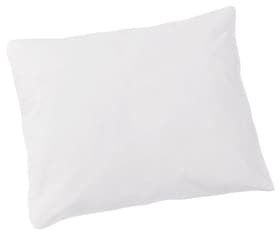 SANADAUN Oreillers pour enfant SANADAUN Oreillers pour enfant 451730910410 Couleur Blanc Dimensions L: 40.0 cm x H: 60.0 cm Photo no. 1
