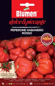 Pepe habanero rosso Sementi di verdura Blumen 650162800000 N. figura 1