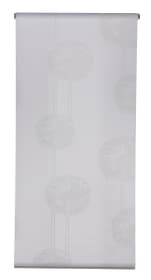 FROST Rollo FROST Rollo 430742904210 Farbe Weiss Grösse B: 42.0 cm x H: 130.0 cm Bild Nr. 1