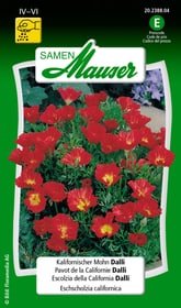 Samen Mauser Kalifornischer Mohn Dalli Blumensamen Kalifornischer Mohn Dalli Blumensamen Samen Mauser 650103601000 Inhalt 0.25 g (ca. 100 Pflanzen oder 5 m²) Bild Nr. 1
